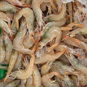 Gambas